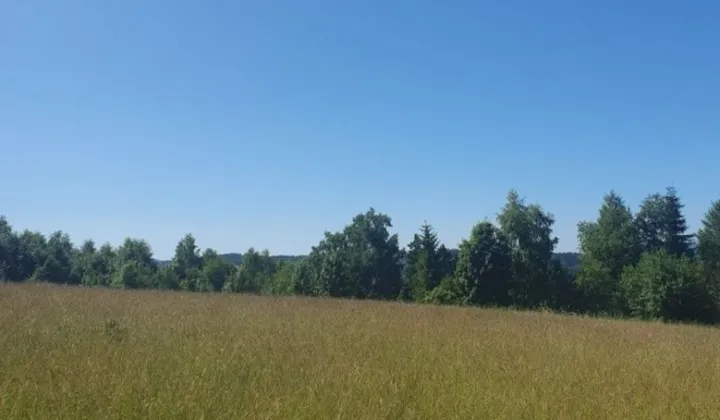 Działka budowlana Jodłów