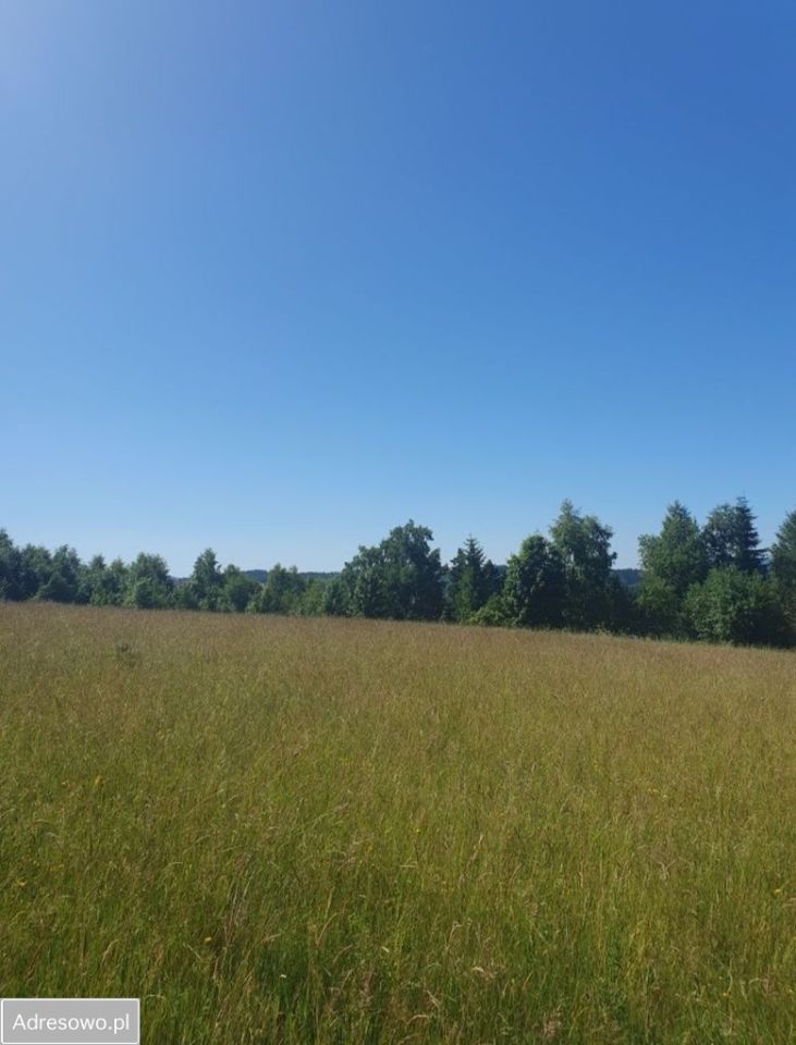 Działka budowlana Jodłów