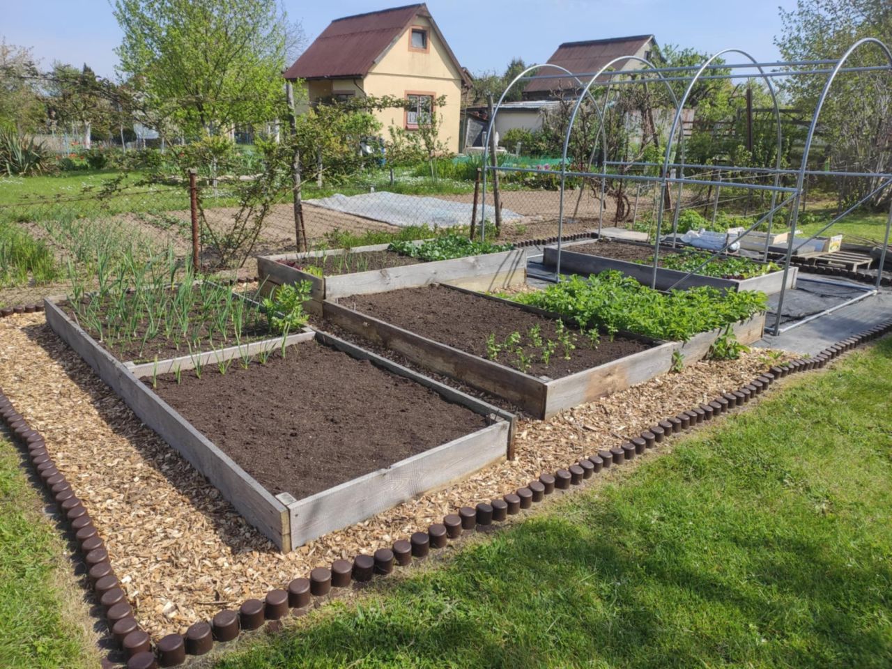 Działka rod Lubin. Zdjęcie 2