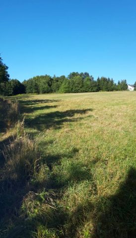 Działka rolna Dziwiszów. Zdjęcie 1