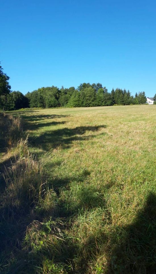 Działka rolna Dziwiszów