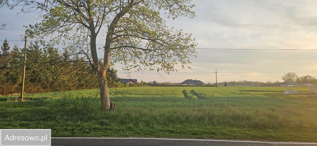 Działka budowlana Strzelce Krajeńskie, ul. Sportowa. Zdjęcie 9