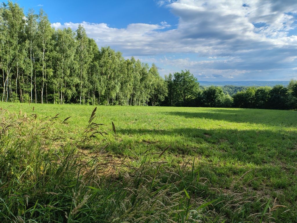 Działka budowlana Kosztowa. Zdjęcie 2