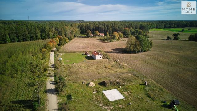 Działka rekreacyjna Tomaszyn. Zdjęcie 13