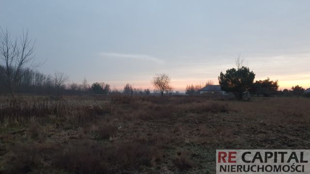 Działka siedliskowa Borzęcin Duży. Zdjęcie 4