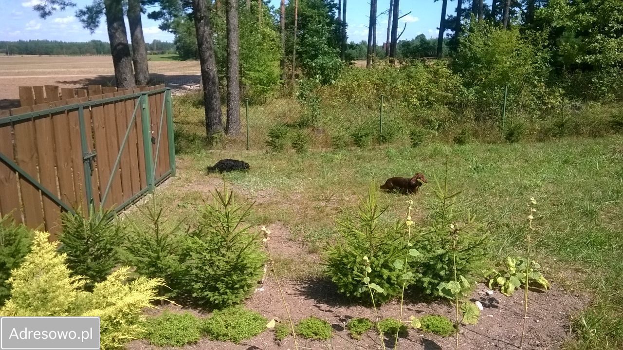 Działka budowlana Walne. Zdjęcie 2