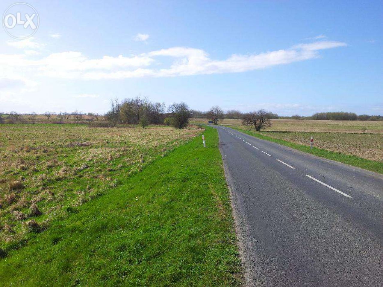 Działka rolna Niechorze. Zdjęcie 5