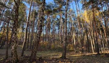 Działka leśna Marynin, ul. Gospodarcza