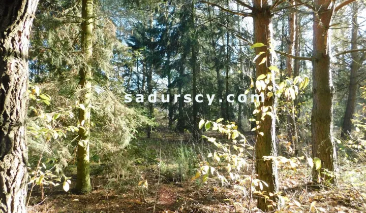 Działka budowlana Biały Ług