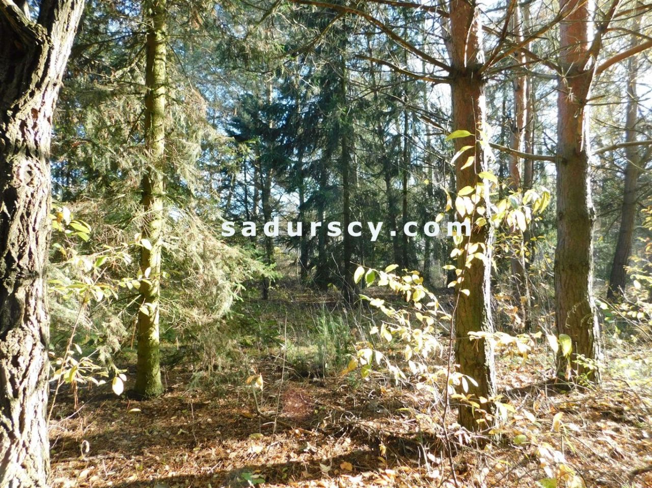 Działka budowlana Biały Ług