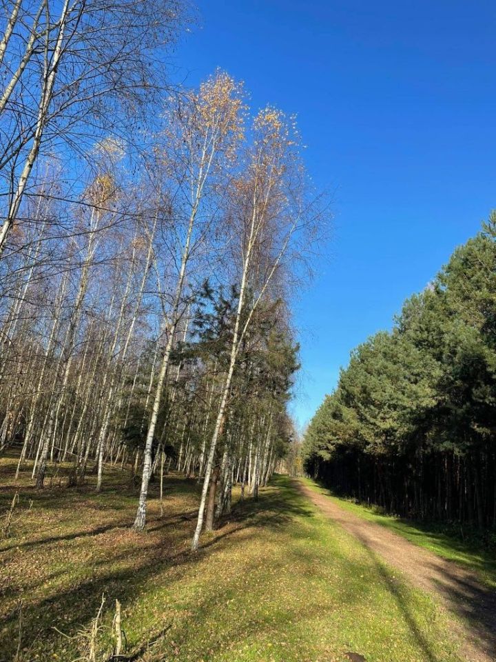 Działka rolno-budowlana Bornity. Zdjęcie 6