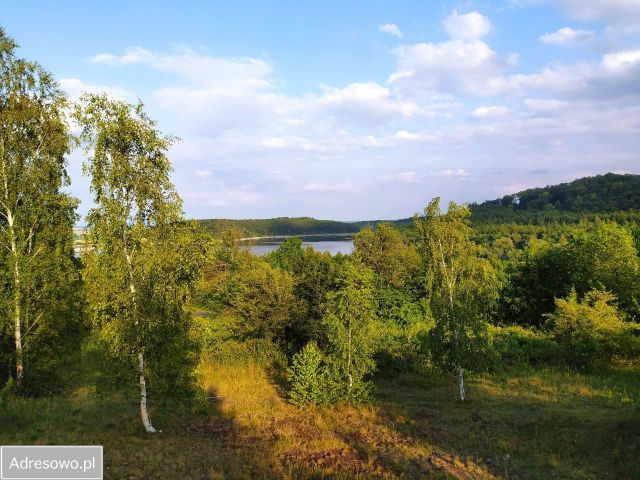 Działka budowlana Dobromierz, ul. Bolesława Chrobrego. Zdjęcie 1