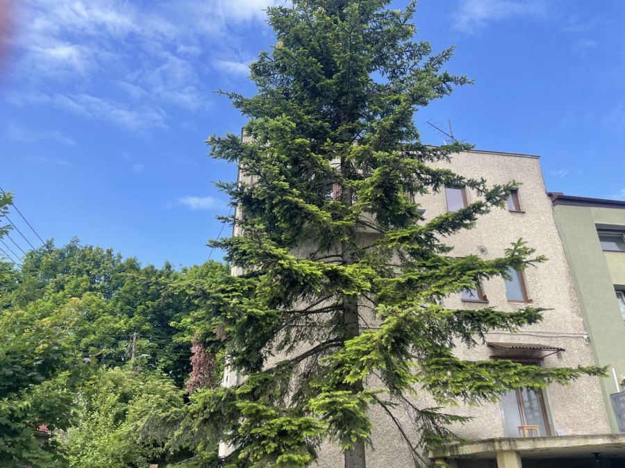 bliźniak Gdynia Orłowo, ul. Limbowa. Zdjęcie 2