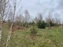 Działka budowlana Korzyce. Zdjęcie 4