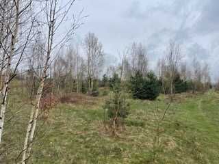 Działka budowlana Korzyce. Zdjęcie 5