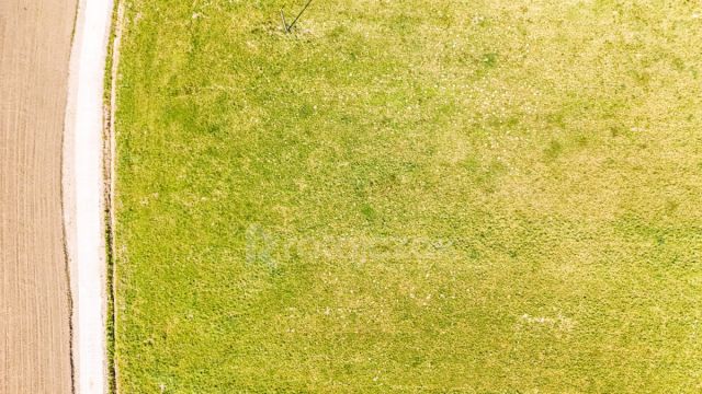 Działka budowlana Głazica, ul. Akacjowa. Zdjęcie 9