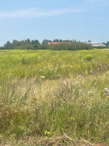 Działka rolno-budowlana Józefów. Zdjęcie 1