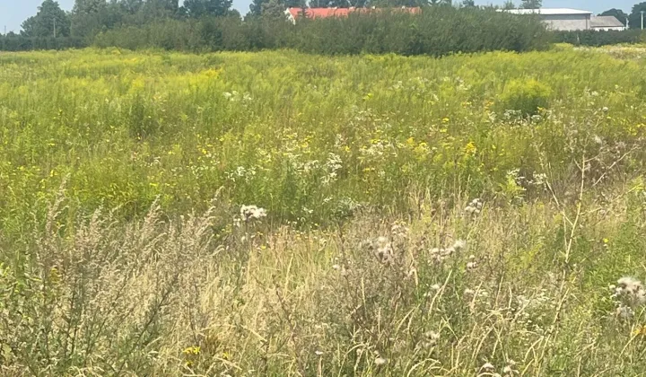 Działka rolno-budowlana Józefów