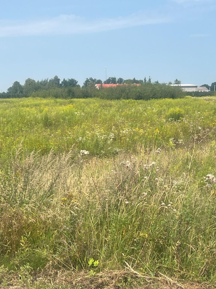 Działka rolno-budowlana Józefów