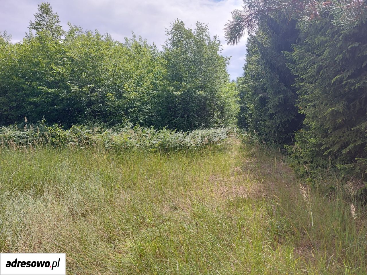 Działka inna Wiluki. Zdjęcie 10
