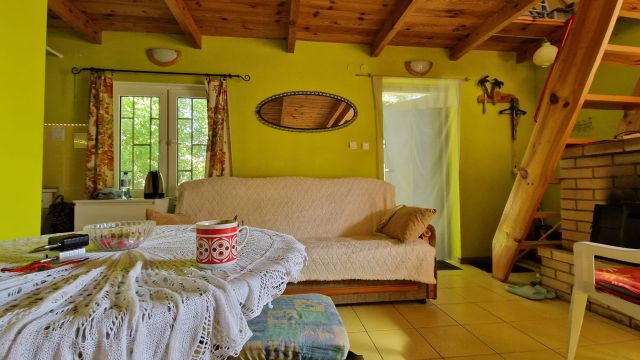 Działka rod Ciechocinek, ul. Cypriana Kamila Norwida. Zdjęcie 1