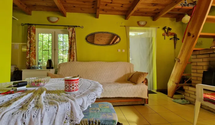 Działka rod Ciechocinek, ul. Cypriana Kamila Norwida