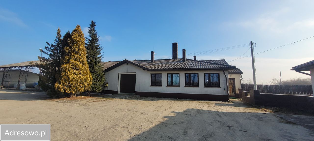 Hala/magazyn Suchodół. Zdjęcie 12