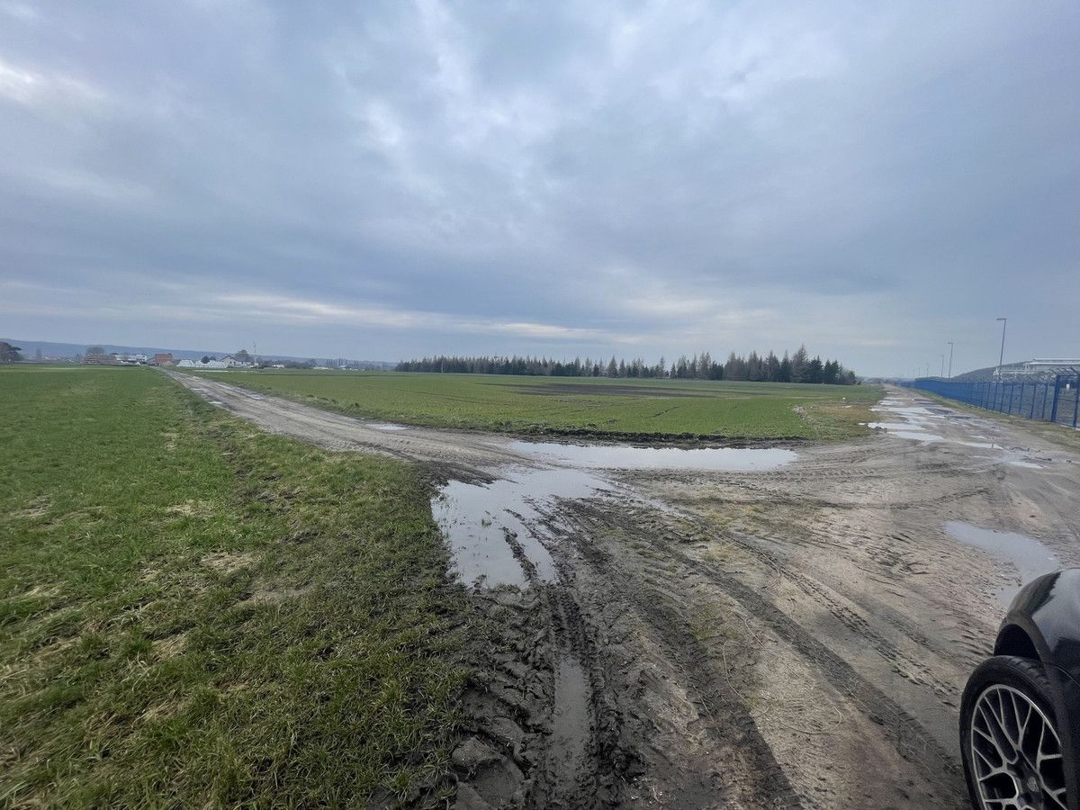 Działka inwestycyjna Dębogórze, ul. Leśna. Zdjęcie 3