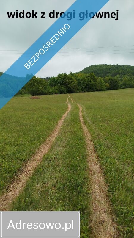 Działka Wysowa-Zdrój. Zdjęcie 7