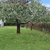 Działka rod Biedrusko. Zdjęcie 2