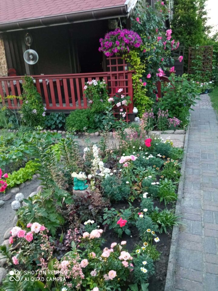 Działka rod Skierniewice. Zdjęcie 3