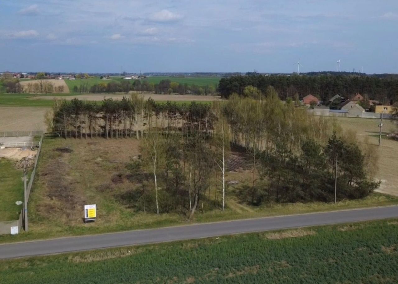 Działka budowlana Wilcza. Zdjęcie 5