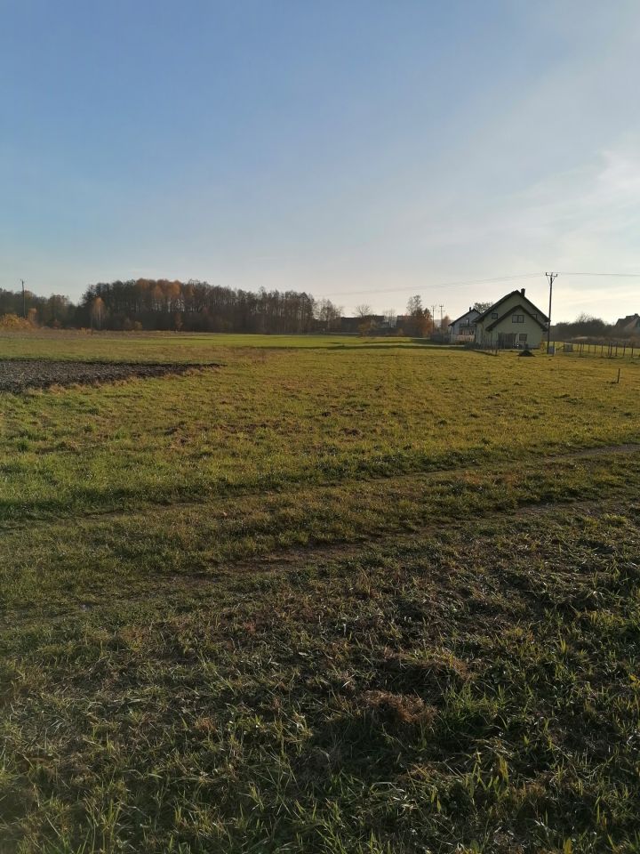 Działka rolno-budowlana Gniewce. Zdjęcie 2