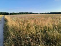 Działka rolno-budowlana Rzeczyca. Zdjęcie 2