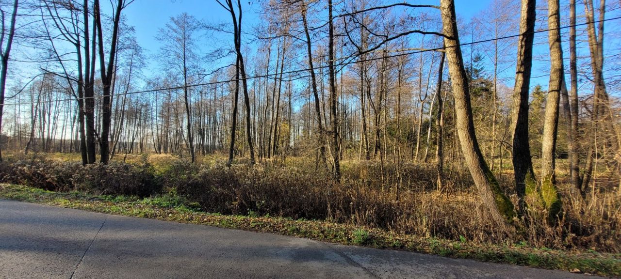 Działka budowlana Jarocin. Zdjęcie 4