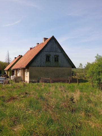 bliźniak Dąbrowa. Zdjęcie 1