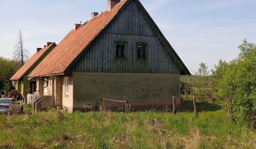 bliźniak Dąbrowa