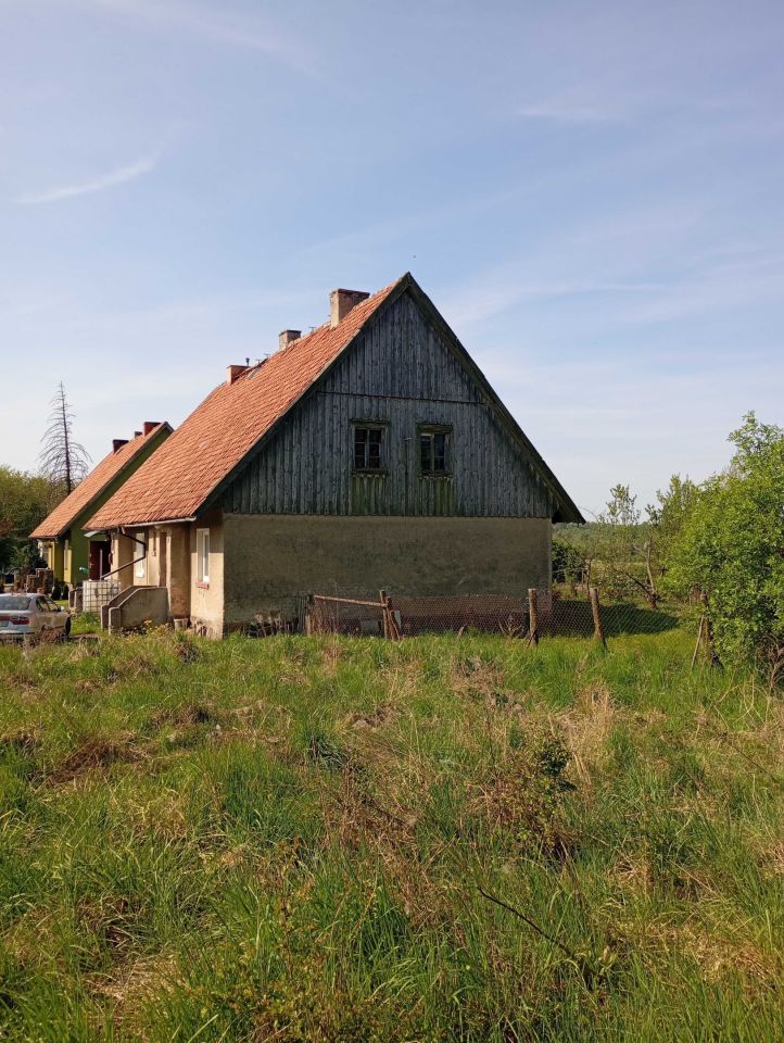 bliźniak Dąbrowa