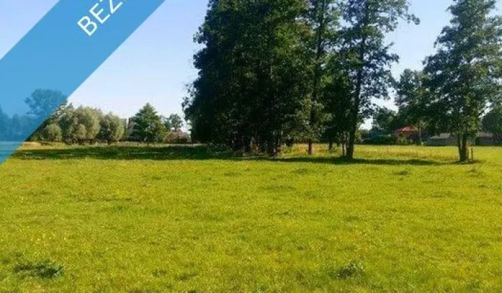 Działka siedliskowa Rażny