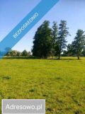 Działka siedliskowa Rażny