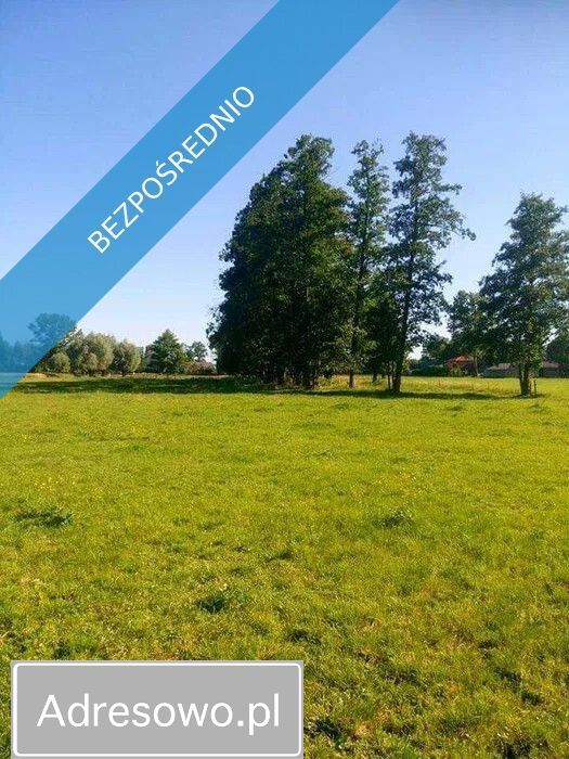 Działka siedliskowa Rażny