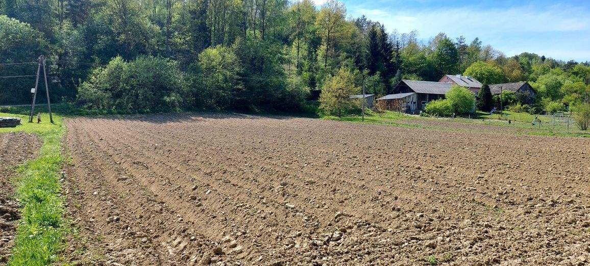 Działka rolna Hłudno. Zdjęcie 8