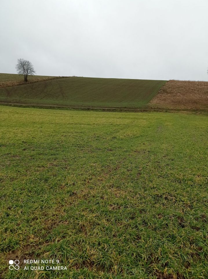 Działka rolno-budowlana Grabowo. Zdjęcie 6