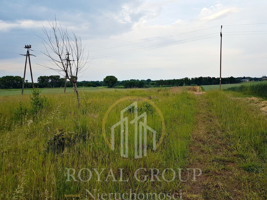 Działka siedliskowa Tomaszowice-Kolonia. Zdjęcie 2