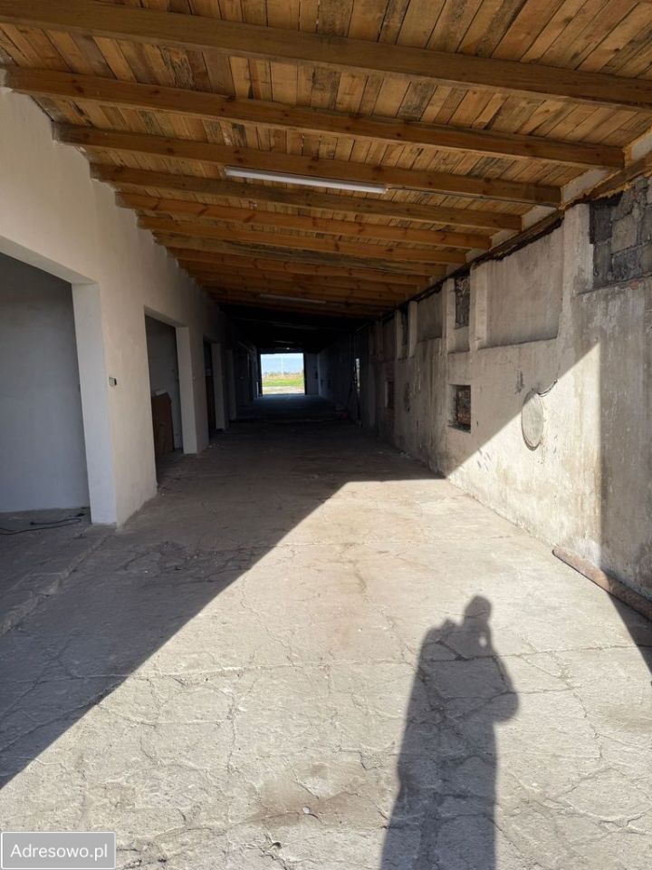 Hala/magazyn Pielgrzymowice. Zdjęcie 7