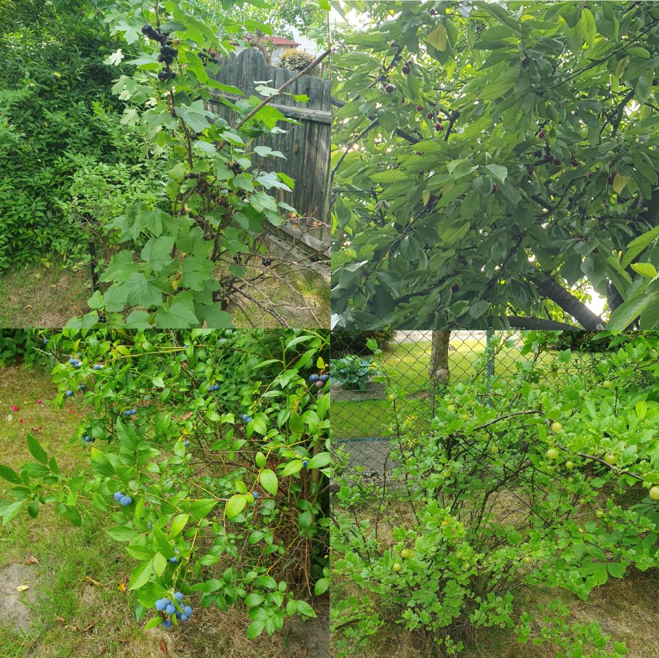 Działka rod Sosnowiec Zagórze, al. Ignacego Paderewskiego. Zdjęcie 2