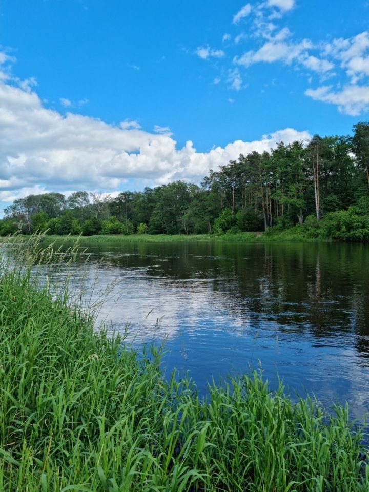 dom letniskowy, 3 pokoje Stary Strachocin. Zdjęcie 5