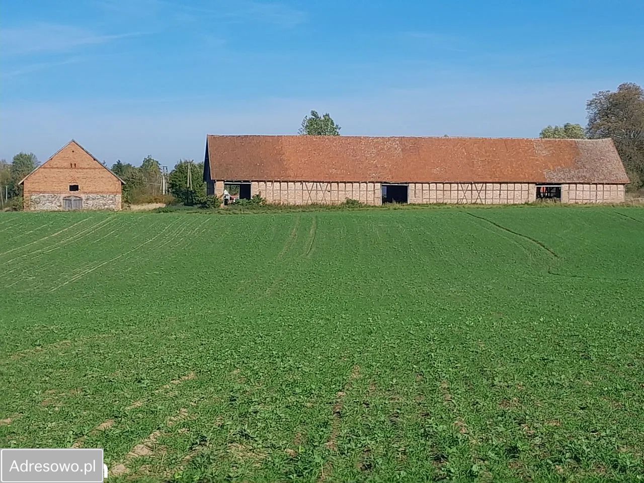 Działka rolno-budowlana Bezledy. Zdjęcie 8