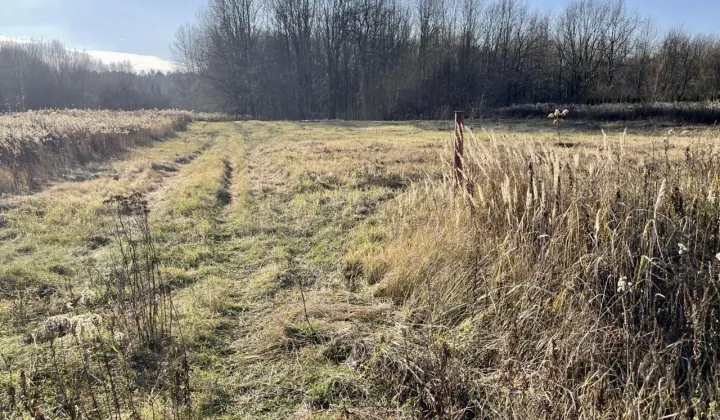 Działka budowlana Truskaw, ul. Południowa