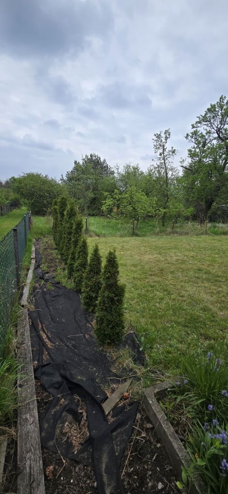 Działka rod Sosnowiec. Zdjęcie 7